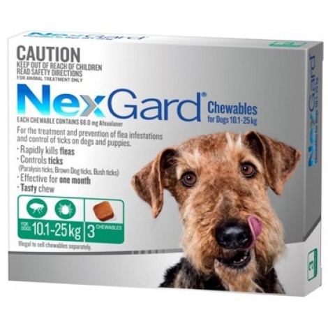 Nexgard Green Medium Dog