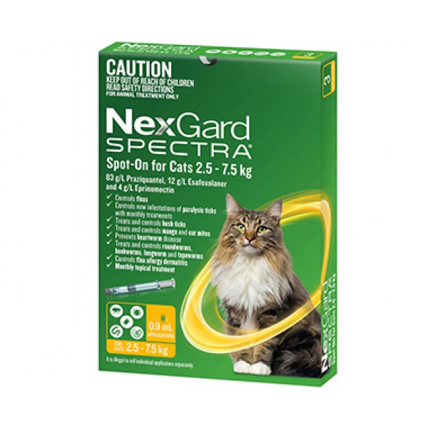 Nexgard Spectra Medium Large Cats nexcatL