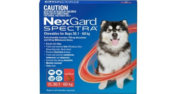nexgard spectra uk