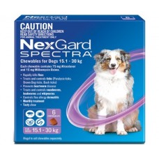 Nexgard Spectra Purple Large Dog