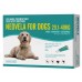 Neovela for Dogs Teal