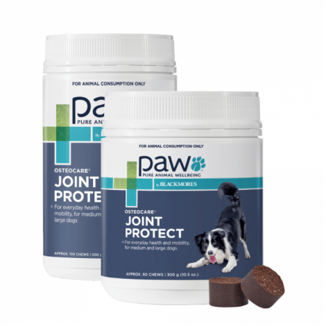 PAW Osteocare Joint Protect Chews 