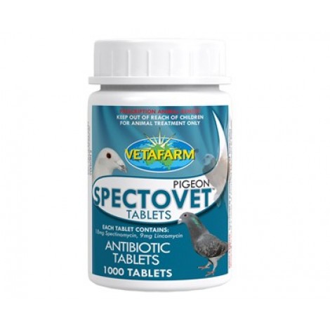 Pigeon Spectovet Antibiotic 100 Tablets