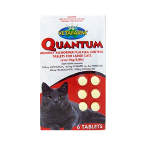Quantum Tablets for Large Cats over 4kg (8.8lb)