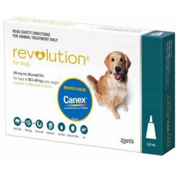 revolution medication for dogs