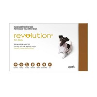Revolution Small (Brown)