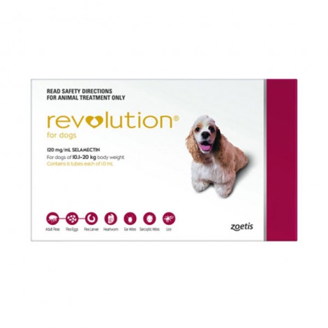 Revolution Medium (Red)