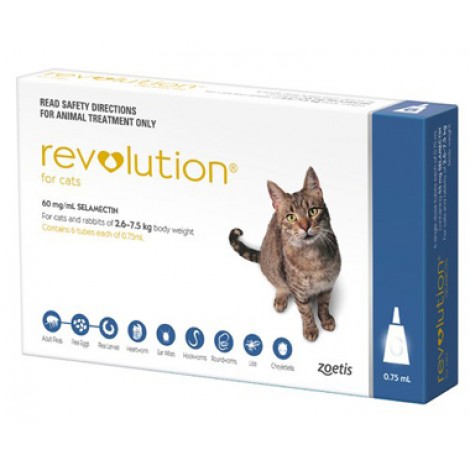 Revolution Cat (Blue)