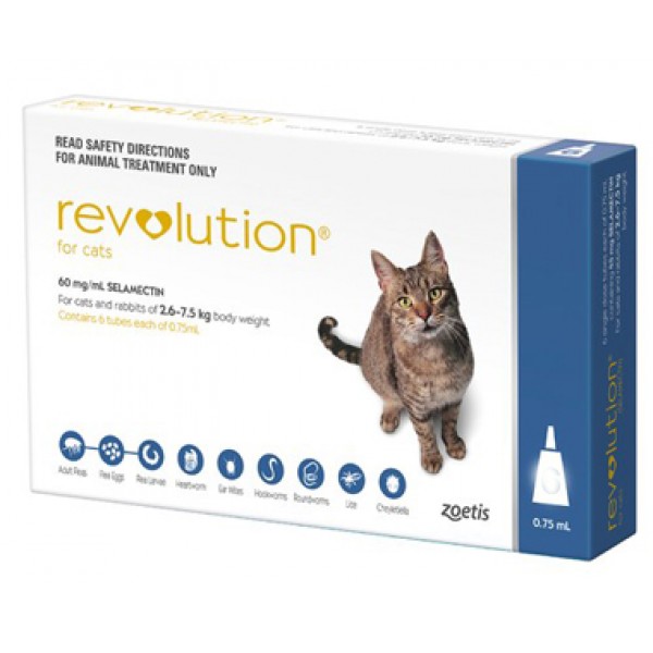 Revolution Cat (Blue) - Cats \u0026 Kittens