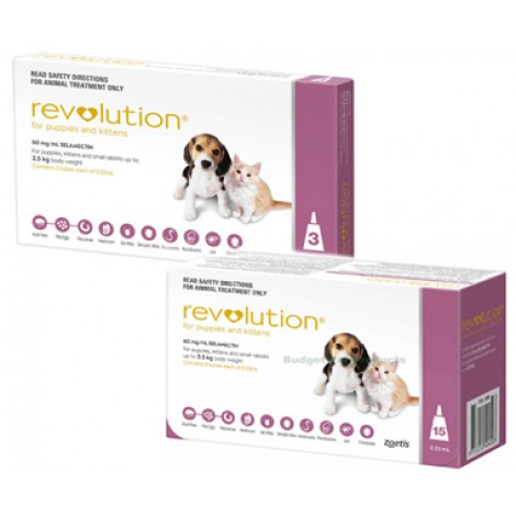 Revolution (Pink) For Puppies & Kittens 