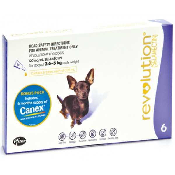 revolution for dogs with canex