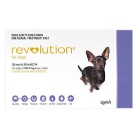 Revolution Toy (Purple)