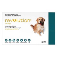 Revolution Large  (Teal)