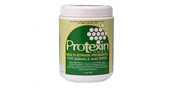 protexin powder for dogs