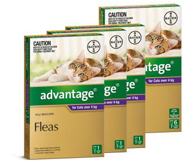 Advantage Flea Control for Dogs 10 - 25kg (22 - 55 lbs) 6 months