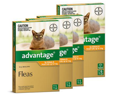 Advantage for Large Cat 4-9kg (8.8-19.8lbs) 4 months