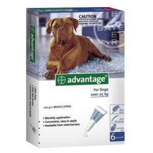 Advantage Flea Control for Dogs 10 - 25kg (22 - 55 lbs) 6 months