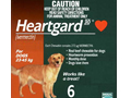 dog heartworm pills