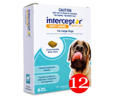 Interceptor dog deals medicine